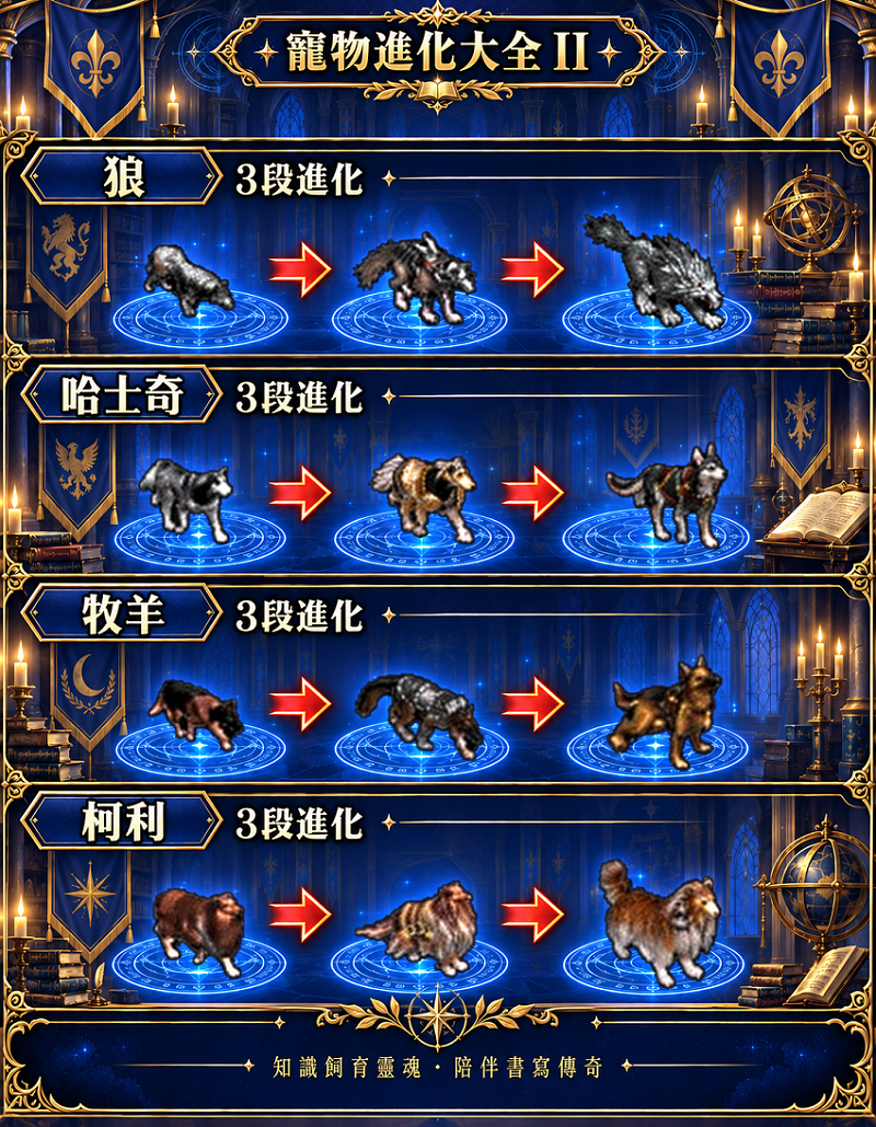 寵物大全02.png