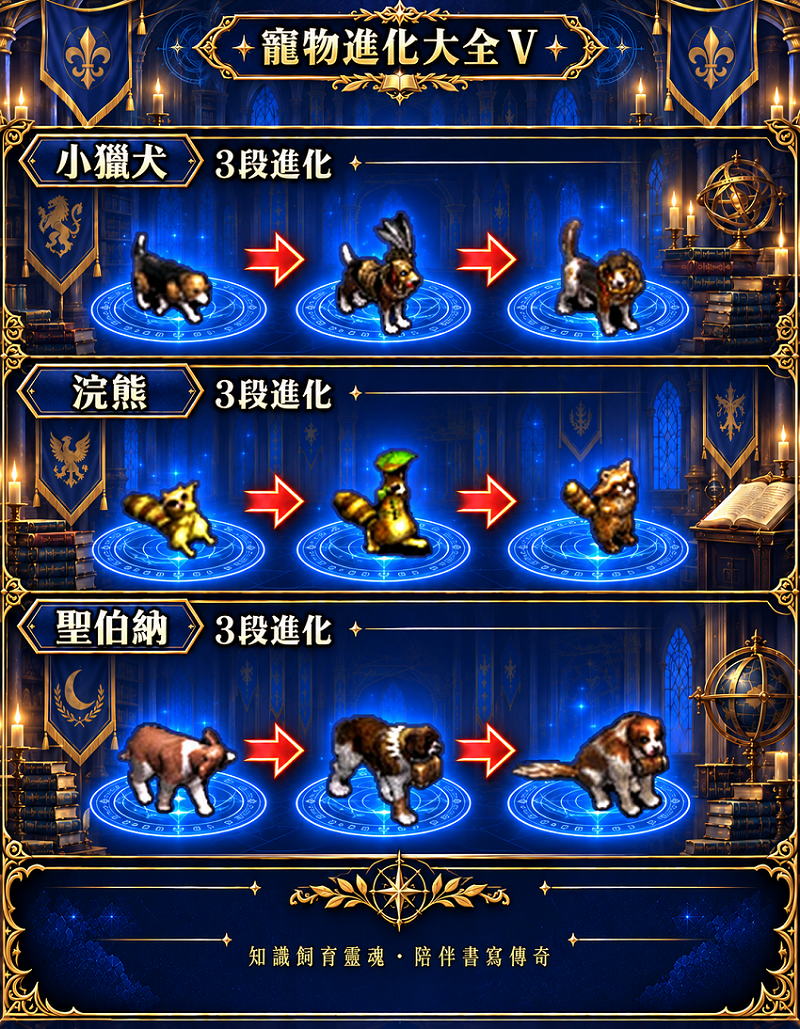 寵物大全05.png